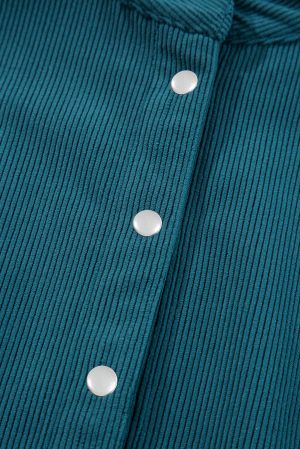 Дамска рокля от синьо кадифе с буфан ръкави и копчета