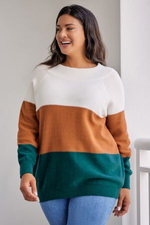 Women's Plus Size Ribbed Trim Color Block Sweater