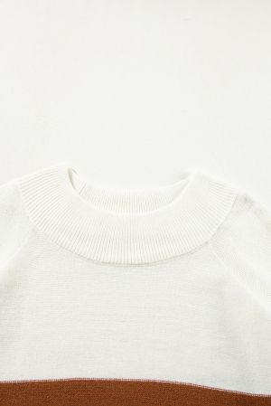 Women's Plus Size Ribbed Trim Color Block Sweater