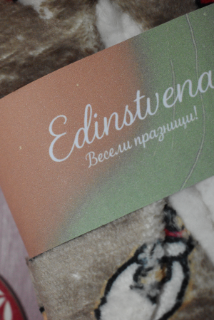 Christmas Plush Slippers in Beige