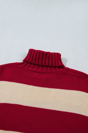 Women’s Knitted Sweater with High Neck and Contrast Stripes
